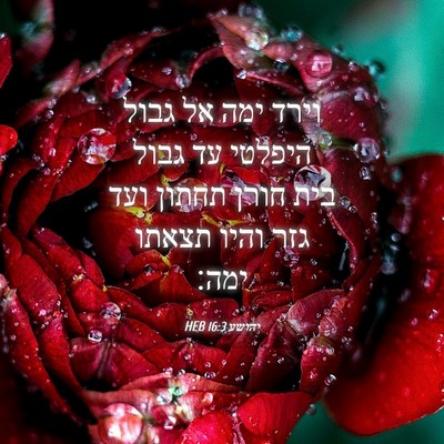 Picture 04 - יהושע 16:3 HEB - וירד ימה אל גבול היפלטי עד - Bible Verse Picture