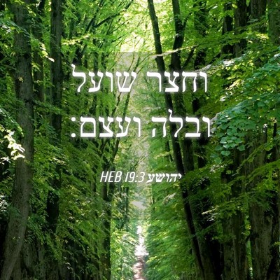 Picture 04 - יהושע 19:3 HEB - וחצר שועל ובלה - Bible Verse Picture