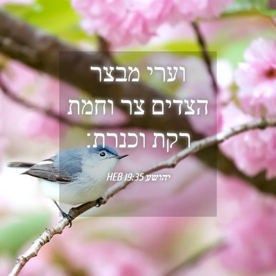 Picture 04 - יהושע 19:35 HEB - וערי מבצר הצדים צר וחמת רקת - Bible Verse Picture