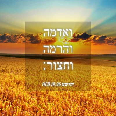 Picture 04 - יהושע 19:36 HEB - ואדמה והרמה - Bible Verse Picture