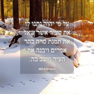 Picture 04 - יהושע 19:50 HEB - על פי יהוה נתנו לו את העיר - Bible Verse Picture