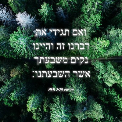 Picture 04 - יהושע 2:20 HEB - ואם תגידי את דברנו זה - Bible Verse Picture