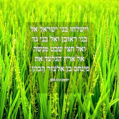 Picture 04 - יהושע 22:13 HEB - וישלחו בני ישראל אל בני - Bible Verse Picture