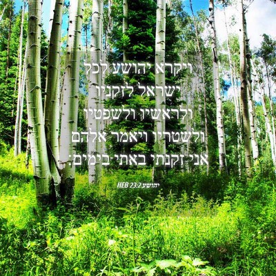 Picture 04 - יהושע 23:2 HEB - ויקרא יהושע לכל ישראל - Bible Verse Picture