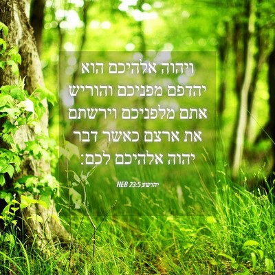 Picture 04 - יהושע 23:5 HEB - ויהוה אלהיכם הוא יהדפם - Bible Verse Picture