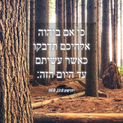Picture 04 - יהושע 23:8 HEB - כי אם ביהוה אלהיכם תדבקו - Bible Verse Picture