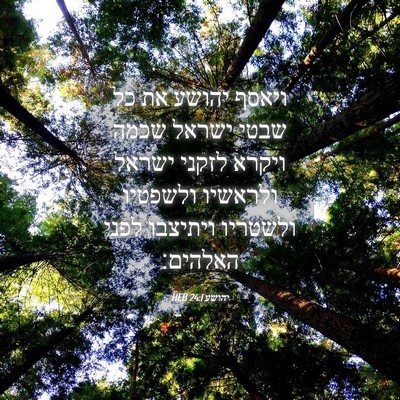 Picture 04 - יהושע 24:1 HEB - ויאסף יהושע את כל שבטי - Bible Verse Picture