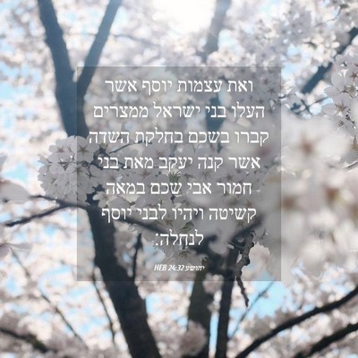 Picture 04 - יהושע 24:32 HEB - ואת עצמות יוסף אשר העלו בני - Bible Verse Picture