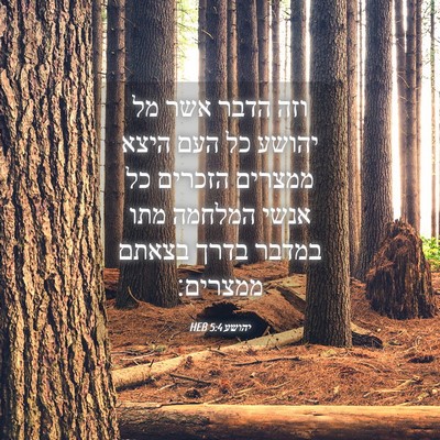 Picture 04 - יהושע 5:4 HEB - וזה הדבר אשר מל יהושע כל - Bible Verse Picture