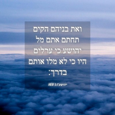 Picture 04 - יהושע 5:7 HEB - ואת בניהם הקים תחתם אתם מל - Bible Verse Picture