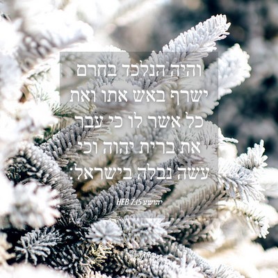 Picture 04 - יהושע 7:15 HEB - והיה הנלכד בחרם ישרף באש - Bible Verse Picture