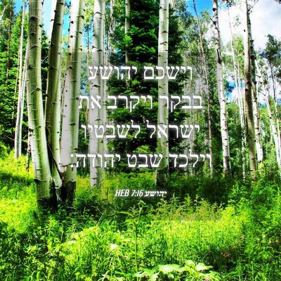 Picture 04 - יהושע 7:16 HEB - וישכם יהושע בבקר ויקרב את - Bible Verse Picture