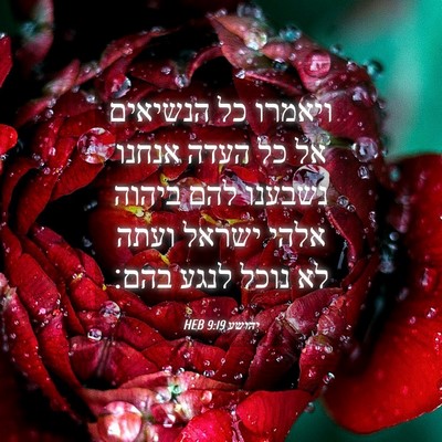 Picture 04 - יהושע 9:19 HEB - ויאמרו כל הנשיאים אל כל - Bible Verse Picture