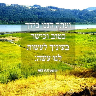 Picture 04 - יהושע 9:25 HEB - ועתה הננו בידך כטוב וכישר - Bible Verse Picture
