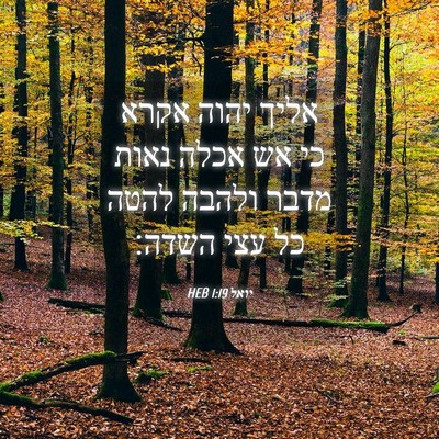 Picture 04 - יואל 1:19 HEB - אליך יהוה אקרא כי אש אכלה - Bible Verse Picture