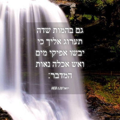 Picture 04 - יואל 1:20 HEB - גם בהמות שדה תערוג אליך כי - Bible Verse Picture