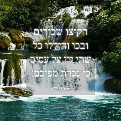 Picture 04 - יואל 1:5 HEB - הקיצו שכורים ובכו והיללו - Bible Verse Picture