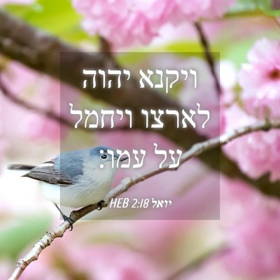 Picture 04 - יואל 2:18 HEB - ויקנא יהוה לארצו ויחמל על - Bible Verse Picture