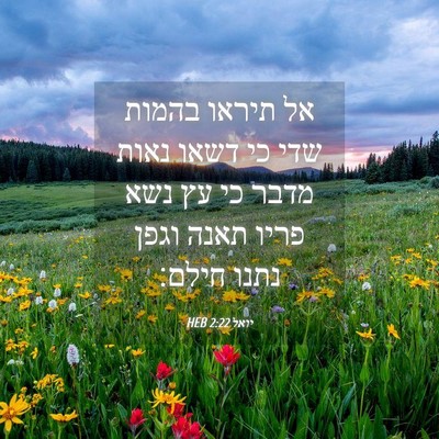 Picture 04 - יואל 2:22 HEB - אל תיראו בהמות שדי כי דשאו - Bible Verse Picture