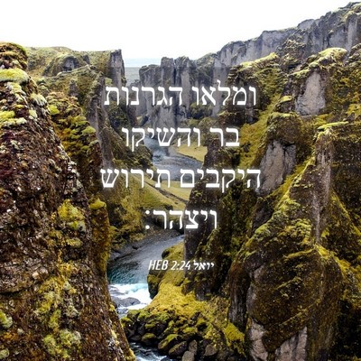 Picture 04 - יואל 2:24 HEB - ומלאו הגרנות בר והשיקו - Bible Verse Picture