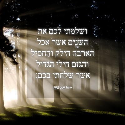 Picture 04 - יואל 2:25 HEB - ושלמתי לכם את השנים אשר אכל - Bible Verse Picture