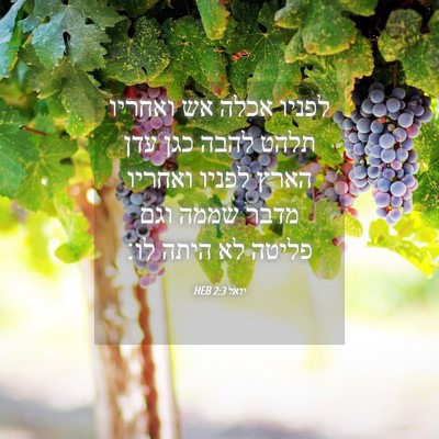 Picture 04 - יואל 2:3 HEB - לפניו אכלה אש ואחריו תלהט - Bible Verse Picture