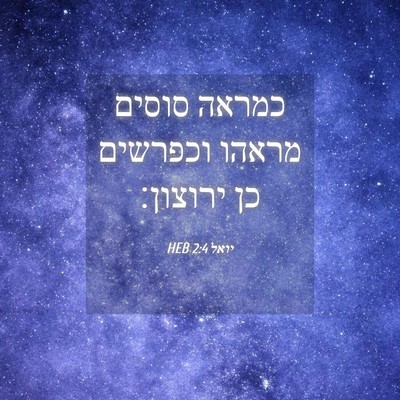 Picture 04 - יואל 2:4 HEB - כמראה סוסים מראהו וכפרשים - Bible Verse Picture