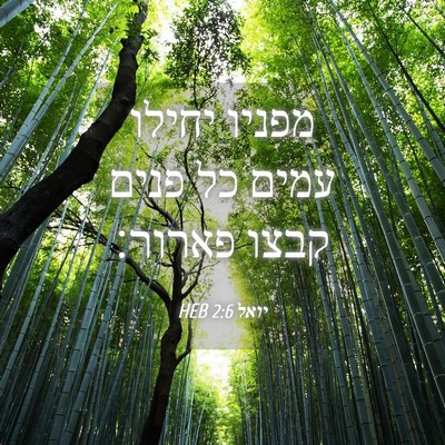 Picture 04 - יואל 2:6 HEB - מפניו יחילו עמים כל פנים - Bible Verse Picture