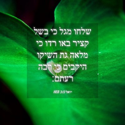 Picture 04 - יואל 3:13 HEB - שלחו מגל כי בשל קציר באו - Bible Verse Picture