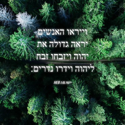 Picture 04 - יונה 1:16 HEB - וייראו האנשים יראה גדולה - Bible Verse Picture