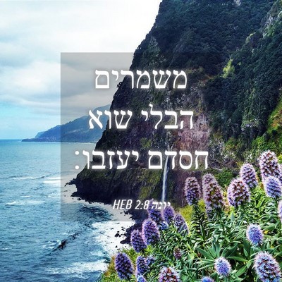 Picture 04 - יונה 2:8 HEB - משמרים הבלי שוא חסדם - Bible Verse Picture