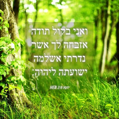 Picture 04 - יונה 2:9 HEB - ואני בקול תודה אזבחה לך אשר - Bible Verse Picture