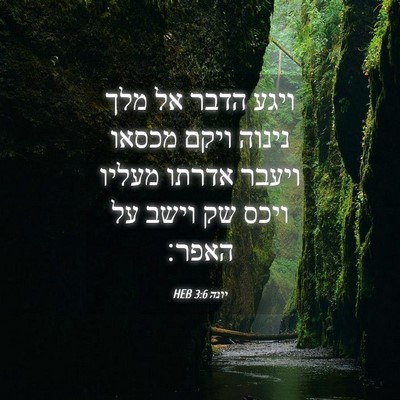 Picture 04 - יונה 3:6 HEB - ויגע הדבר אל מלך נינוה ויקם - Bible Verse Picture