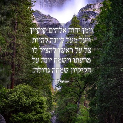 Picture 04 - יונה 4:6 HEB - וימן יהוה אלהים קיקיון - Bible Verse Picture