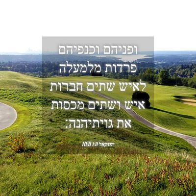Picture 04 - יחזקאל 1:11 HEB - ופניהם וכנפיהם פרדות - Bible Verse Picture
