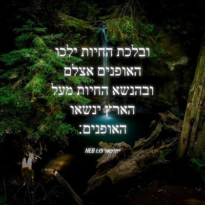 Picture 04 - יחזקאל 1:19 HEB - ובלכת החיות ילכו האופנים - Bible Verse Picture