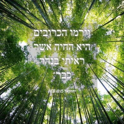 Picture 04 - יחזקאל 10:15 HEB - וירמו הכרובים היא החיה אשר - Bible Verse Picture
