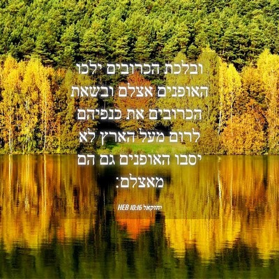Picture 04 - יחזקאל 10:16 HEB - ובלכת הכרובים ילכו האופנים - Bible Verse Picture