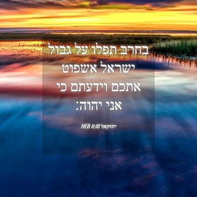Picture 04 - יחזקאל 11:10 HEB - בחרב תפלו על גבול ישראל - Bible Verse Picture