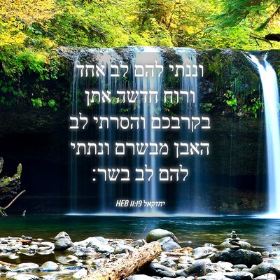 Picture 04 - יחזקאל 11:19 HEB - וננתי להם לב אחד ורוח חדשה - Bible Verse Picture