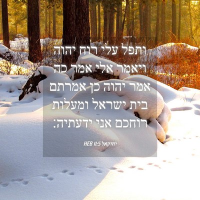 Picture 04 - יחזקאל 11:5 HEB - ותפל עלי רוח יהוה ויאמר אלי - Bible Verse Picture