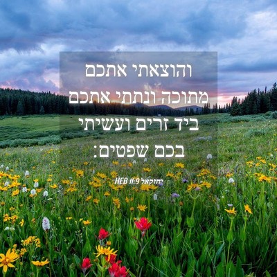Picture 04 - יחזקאל 11:9 HEB - והוצאתי אתכם מתוכה ונתתי - Bible Verse Picture
