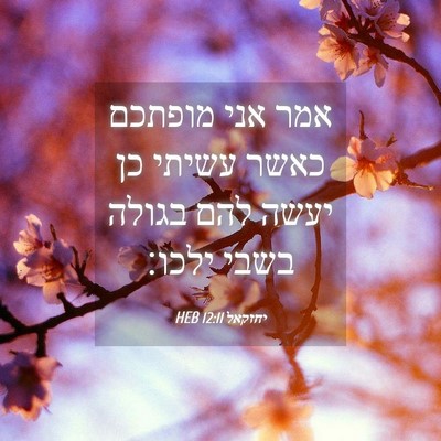 Picture 04 - יחזקאל 12:11 HEB - אמר אני מופתכם כאשר עשיתי - Bible Verse Picture