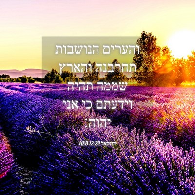 Picture 04 - יחזקאל 12:20 HEB - והערים הנושבות תחרבנה - Bible Verse Picture