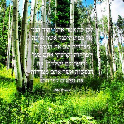 Picture 04 - יחזקאל 13:20 HEB - לכן כה אמר אדני יהוה הנני - Bible Verse Picture