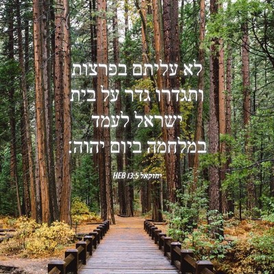 Picture 04 - יחזקאל 13:5 HEB - לא עליתם בפרצות ותגדרו גדר - Bible Verse Picture