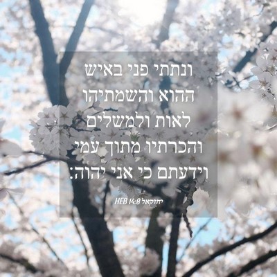 Picture 04 - יחזקאל 14:8 HEB - ונתתי פני באיש ההוא - Bible Verse Picture