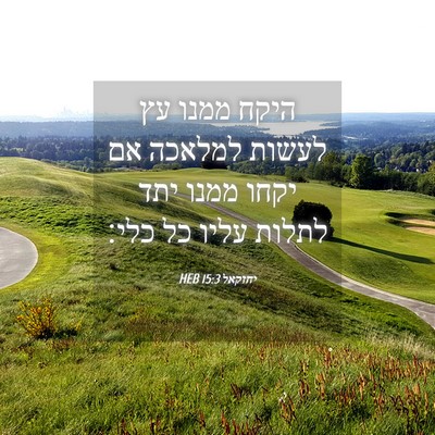 Picture 04 - יחזקאל 15:3 HEB - היקח ממנו עץ לעשות למלאכה - Bible Verse Picture
