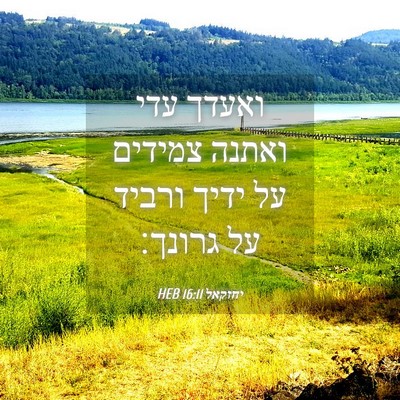 Picture 04 - יחזקאל 16:11 HEB - ואעדך עדי ואתנה צמידים על - Bible Verse Picture