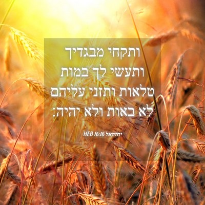 Picture 04 - יחזקאל 16:16 HEB - ותקחי מבגדיך ותעשי לך במות - Bible Verse Picture